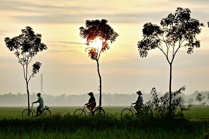 Hoi An Countryside By Bike - Hands-on workshops you actually do, not just watch