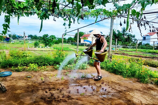 Hoi An countryside cycling tour - Hoi An countryside cycling, the practical version