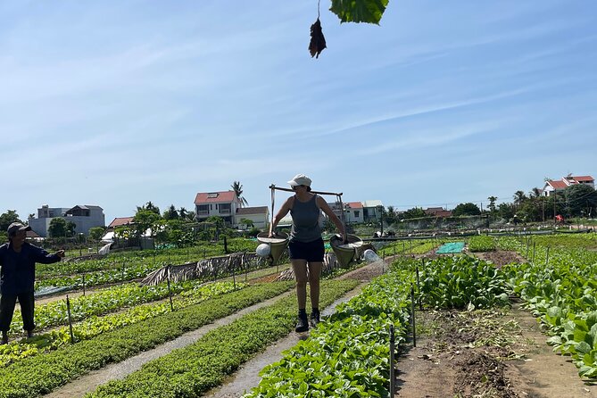 Hoi An countryside cycling Tour,Basket Boat-organic farming-lunch - The lunch spread: chicken, fish, herbs, papaya salad, and dessert
