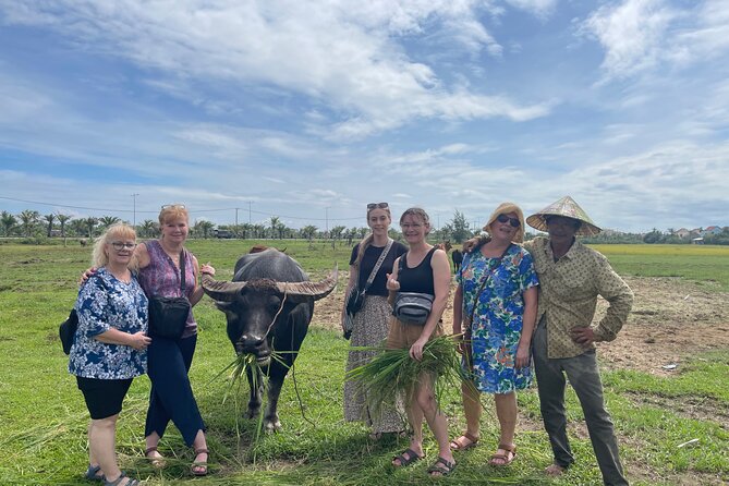 Hoi An countryside cycling Tour,Basket Boat-organic farming-lunch - Buffalo time: feeding and riding Vietnam’s gentle farm giants