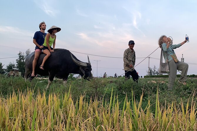 Hoi An Countryside PRIVATE TOUR - Highlights and Hidden Gems - Stop 3: Cam Chau Buffalo Riding In The Fields