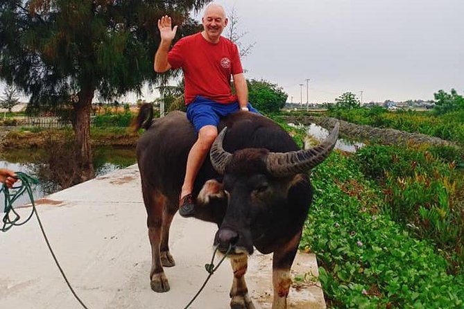 Hoi An Countryside Tour with Bamboo Basket Boat Rowing , Buffalo Ride, Farming - Cam Thanh by buffalo: village life and wartime shelter history