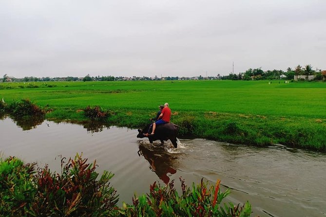 Hoi An Countryside Tour with Bamboo Basket Boat Rowing , Buffalo Ride, Farming - Price and what you truly get for about $76.42