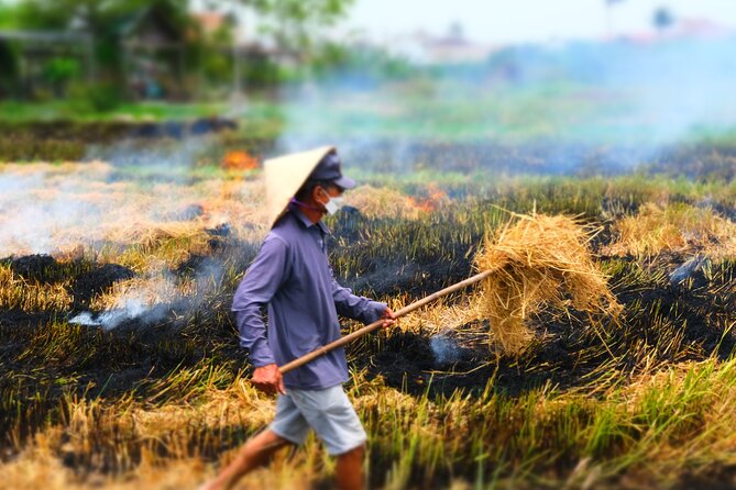 Hoi An Countryside Vespa Tour: Food, Culture & Daily Life - Stop 2 Cam Kim Island and the Rice Field Views