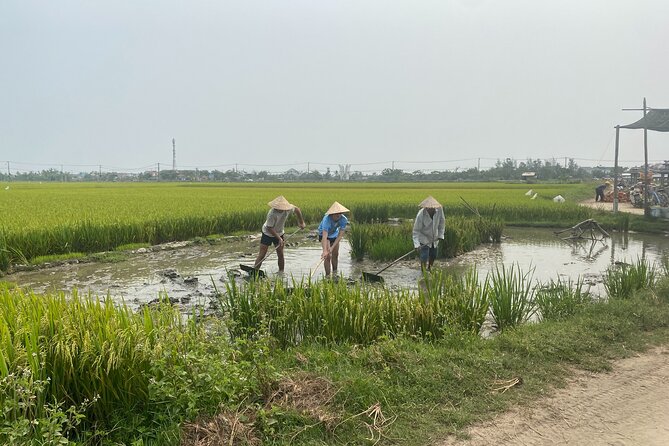 Hoi An Countryside Vespa Tour: Food, Culture & Daily Life - Stop 4 Ending Back in Hoi An with a Meal That Feels Like a Reset