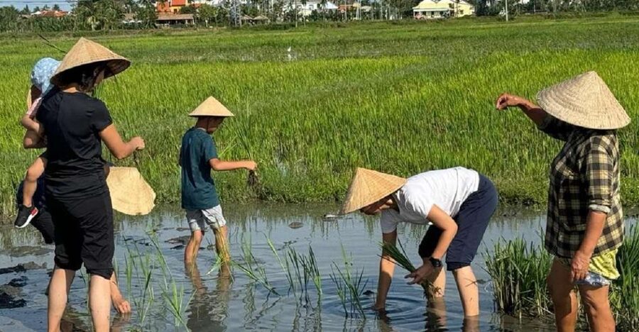 Hoi An:Cycling,Traditional Farming & Fishing Life Experience - Key highlights worth your time