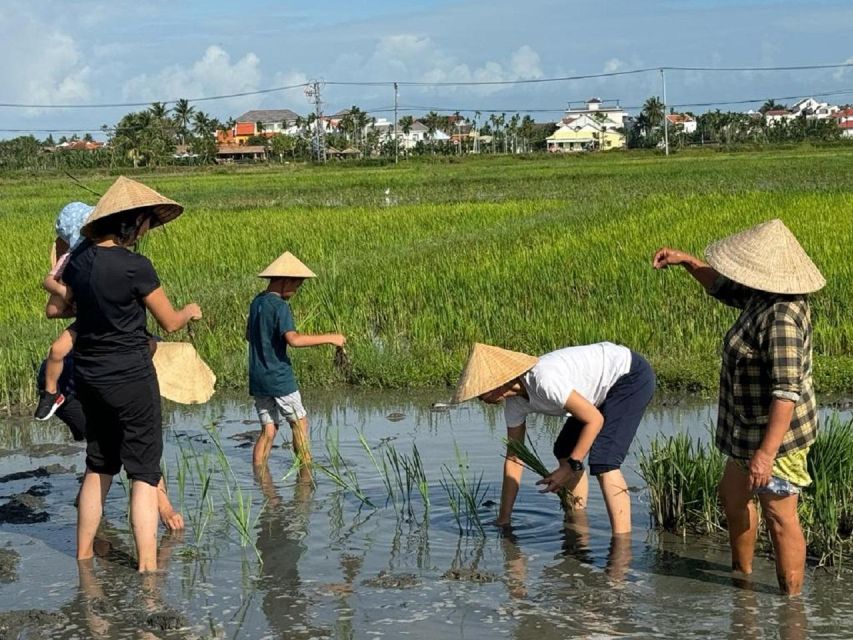 Hoi An:Cycling,Traditional Farming & Fishing Life Experience - The bike ride through fields and shrimp farms