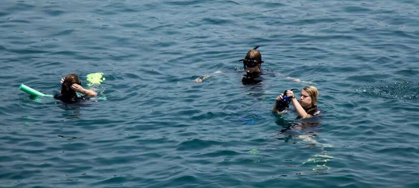 Hoi An/ Da Nang: Cham Island Discovery Tour - Should You Book This Cham Island Discovery Tour?