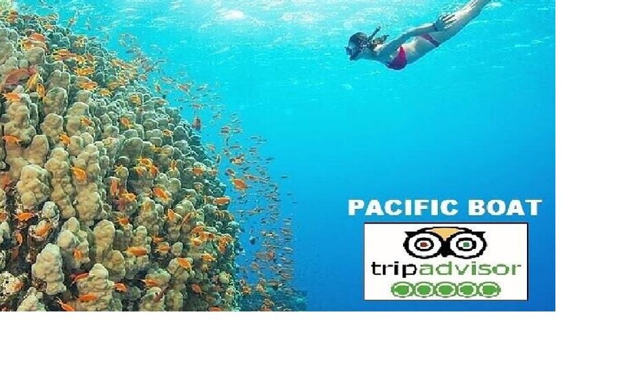 Hoi An/Da Nang: Snorkelling & Island-Hopping Speedboat Tour - Key things I’d watch for