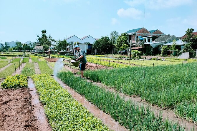 Hoi An Eco-Biking Tour - Price and value: is $40 a fair deal?