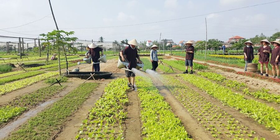 Hoi An: Evening Cooking Class with Locals in Herbs Village - The Dishes You’ll Make, and Why They Teach More Than Just Recipes
