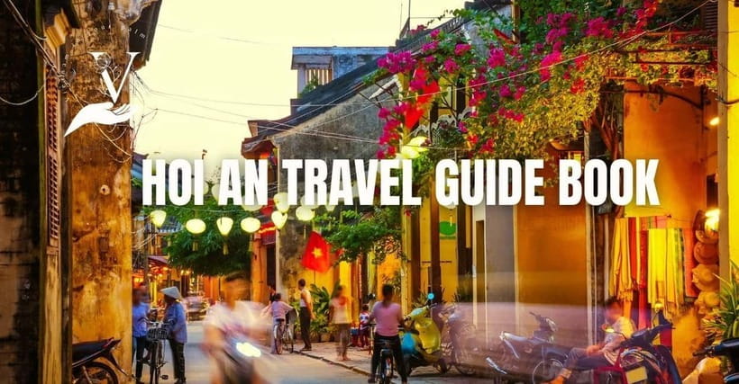 Hoi An Food Tour - Street Eats And Hoi An Hidden Gems - Key Things I’d Focus on Before You Go