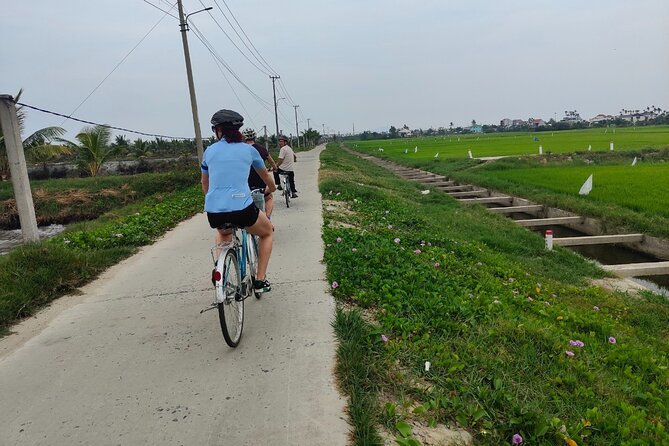 Hoi An Half-Day Bicycle Tour: Visit Herb Village, Row Basket Boat - Key things that make this tour worth your time