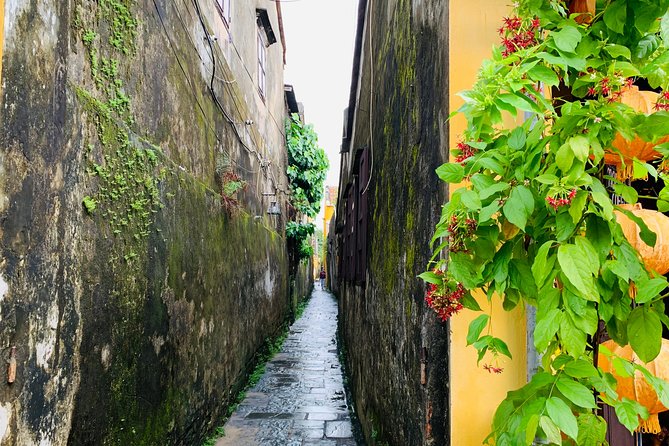 Hoi An: Half-day Hoi An Heritage Walk - Who This Heritage Walk Suits Best