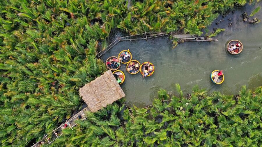 Hoi An: Hoi An Basket Boat Ride in Water Coconut Forest - A 50-minute basket boat through the Thu Bon’s coconut waterways