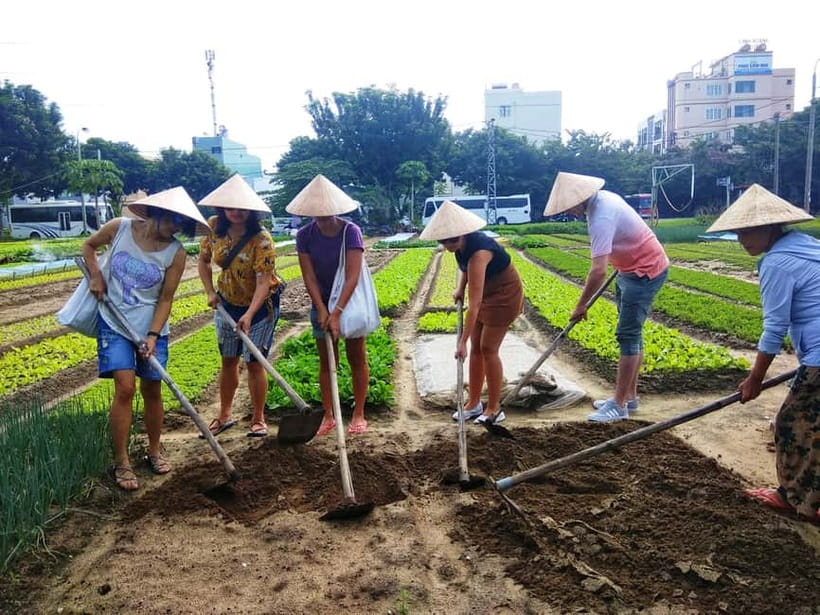 Hoi An: Jolie Cooking Class - Key highlights worth your attention