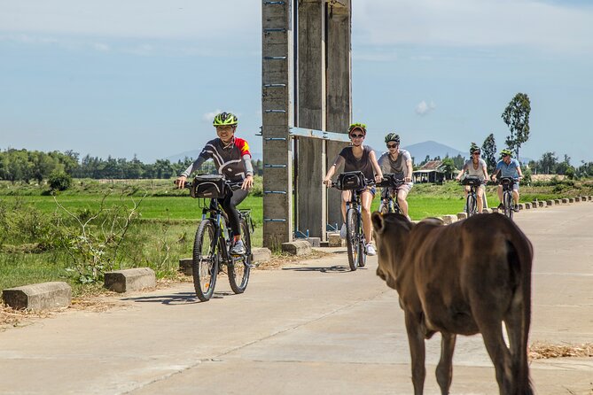 Hoi An: Morning Countryside Tour by Bike - Key Highlights to Know Before You Ride