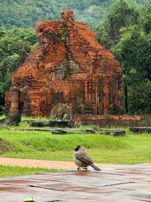 Hoi An: My Son Sanctuary Private Tour with Local Guide - Arriving at My Son: Meet the Guide, Then Walk With Purpose