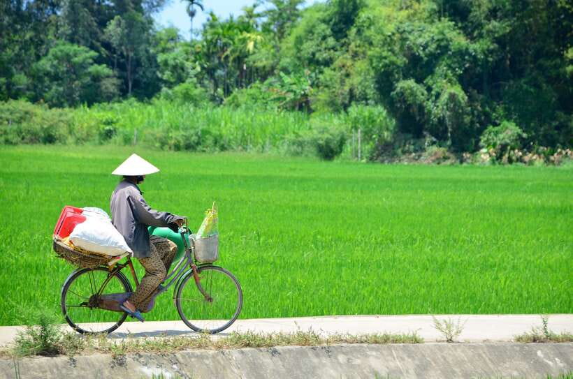 Hoi An: Private Cycling to My Son Sanctuary with Local Guide - Key things that make this ride worth your time