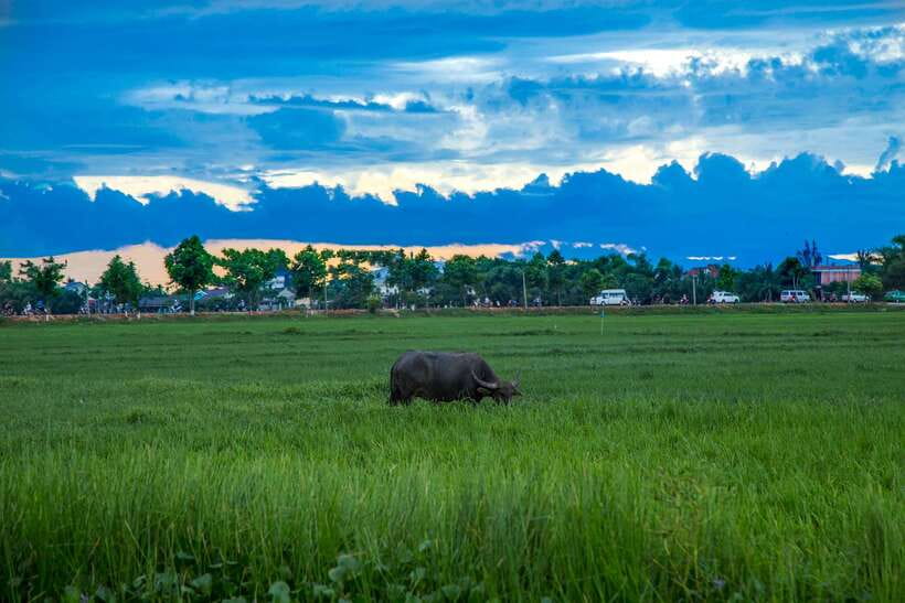 Hoi An: Private Evening Food Tour by Bike - Banh xeo, artisanal cheese, and beer: small surprises that keep it fun