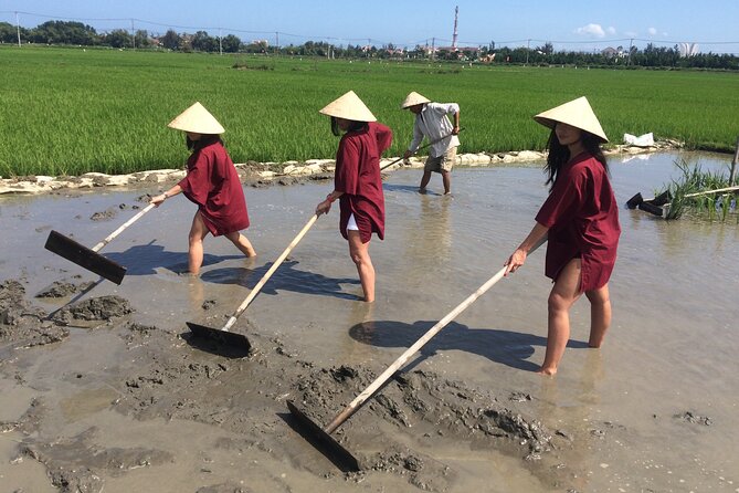 Hoi An Rice Farm Tour and Buffalo Riding with Local Home Meal - Key Highlights Worth Your Morning