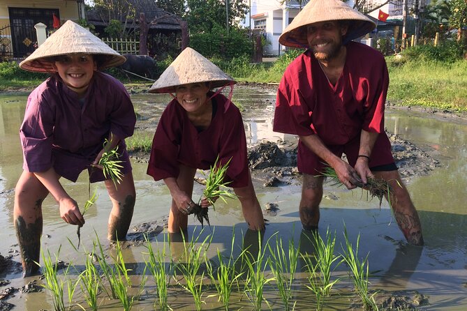 Hoi An Rice Farm Tour and Buffalo Riding with Local Home Meal - Buffalo Riding in the Fields: Fun, Real, and Worth Respecting