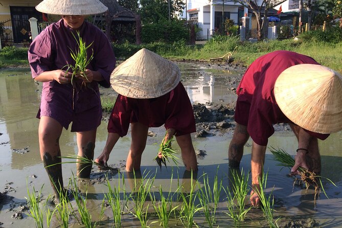 Hoi An Rice Farm Tour and Buffalo Riding with Local Home Meal - Who Should Book This Tour, and Who Might Skip It