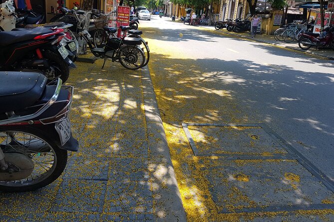 Hoi An town private walking tour with boat trip - Price and Logistics: Is $39.60 a Good Value?