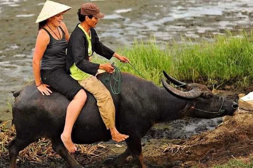 Hoi An Wet Rice Farming Tour-Basket Boat Tour Fishing-Lunch - Hand Net Fishing and Bamboo-Pole Crab Catching