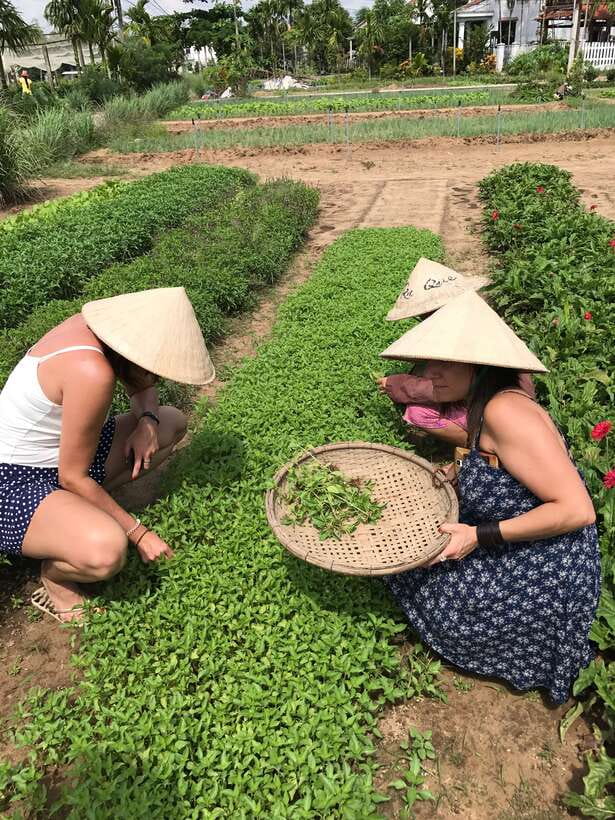 Hoian/Da Nang: Fishing, basket riding and cooking class - River life, bamboo basket boats, and the round net