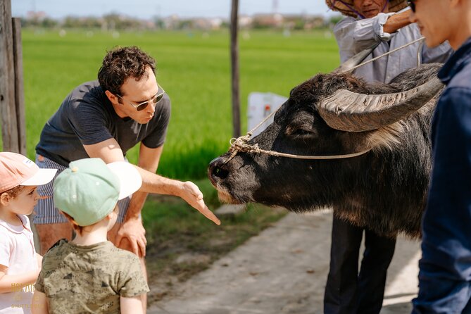 HoiAnGO Experience Local Life: Countryside by Electric Car - Who this electric car countryside tour suits best