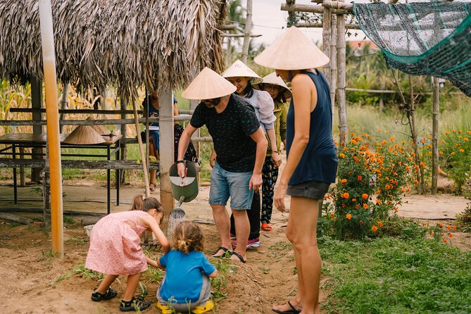 HoiAnGO Experience Local Life: Countryside by Electric Car - Rice fields: the quiet step between market and palms