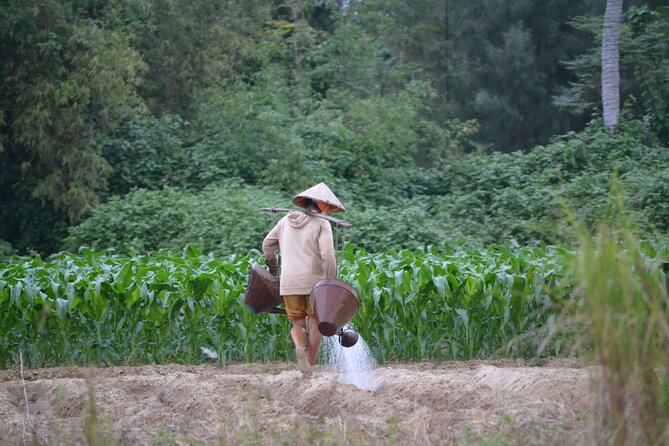 Mountain Bike Riding from Hoi An - Leaving Hoi An: what the morning start actually feels like