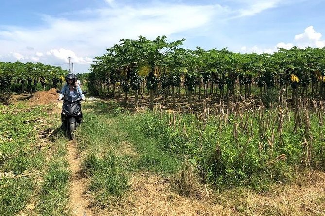 My Son Adventures Loop (1 ngày -150km) - Lunch tickets and the day’s rhythm toward sunset