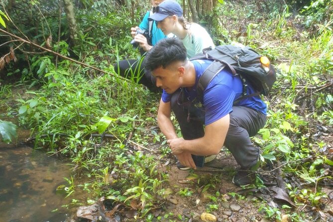 My Son sanctuary and mountain trekking - Meet the Guide: Local Stories, Hunter Skills, and Real-World Trail Sense