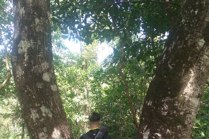 My Son sanctuary and mountain trekking - My Son Sanctuary: Champa Temples and Pilgrimage Pathways