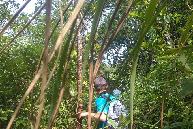 My Son sanctuary and mountain trekking - Food and Breaks: Coffee, Barbecue, and a Real Lunch