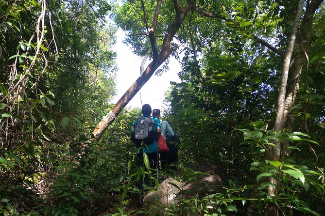 My Son sanctuary and mountain trekking - Price and Value: How $59 Really Adds Up