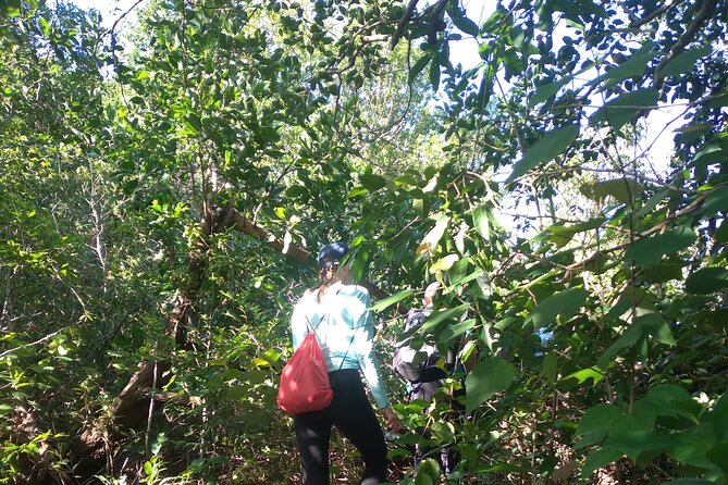 My Son sanctuary and mountain trekking - Who This Tour Fits Best (And Who Might Want Something Different)