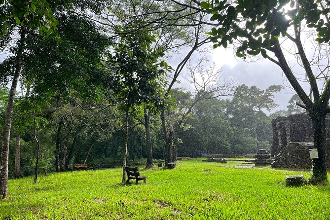My Son Sanctuary Guided Tour with Rice Paper Making from Da Nang - Weather, Timing, and What to Bring for a Smooth Day