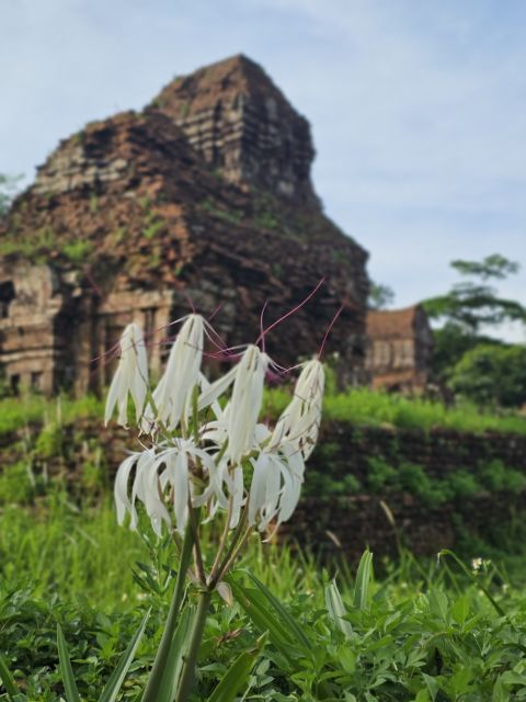 My Son Sanctuary Morning/Afternoon with Boat Trip and Banhmi - My Son Sanctuary With an English Guide and Real Champa Context