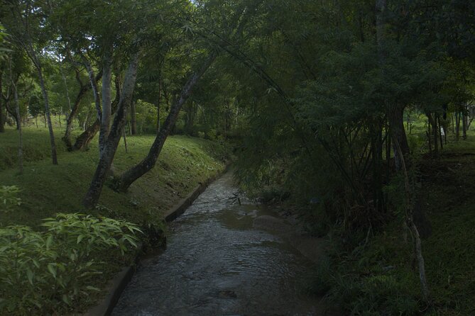 My Son Sanctuary Private Tour - Early Morning or Half Day Tour - Walking through My Son: temples, carvings, and Champa purpose
