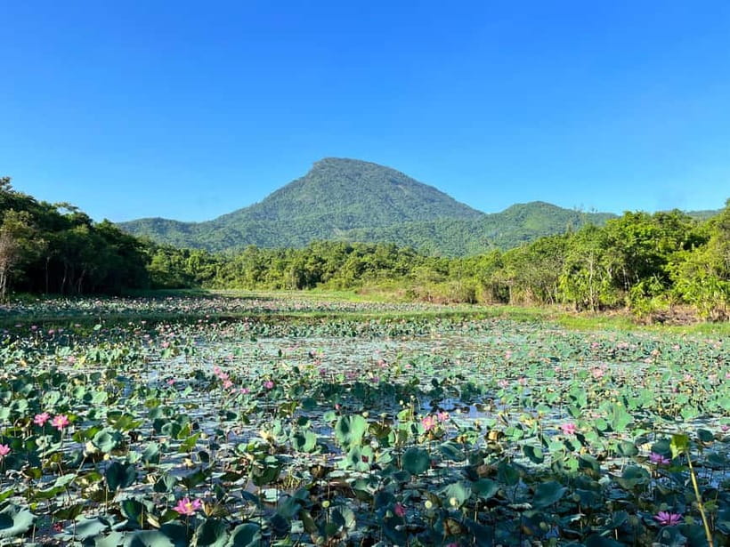 MY SON SANCTUARY - RICE PAPER MAKING DELUXE TOUR FROM DANANG - Who should book this tour, and who should skip it
