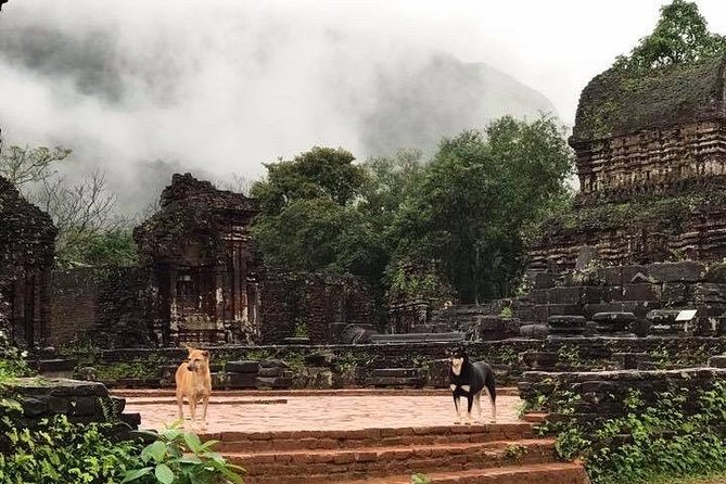 My Son Sanctuary Sunrise Private Tour - Logistics that make or break an early morning tour
