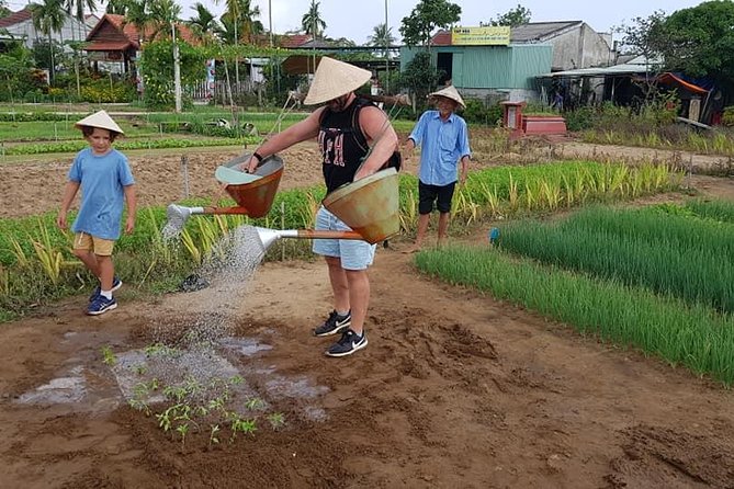 MY SON Tour & Hoi An Countryside with Basket Boat, Buffalo Ride,Farming Activity - Price and value: what $99 covers and how to think about it
