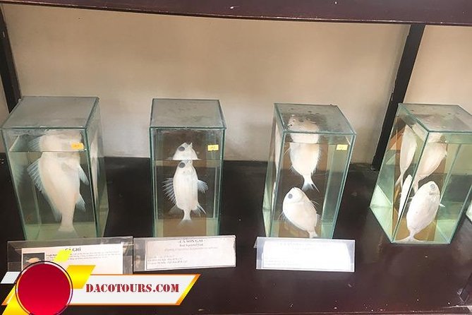 Private Cham Island Snorkeling Tour, Nice Beach, Fishing villages - Xep Beach snorkeling: gear, timing, and what to expect in the water