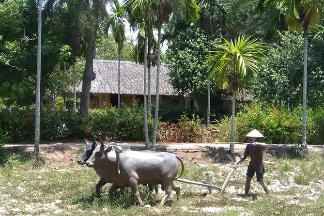 Private Day Trip To Visit MY LAI MASSACRE from Hoi an or Da Nang City - Price and value: what you really get for $102.57