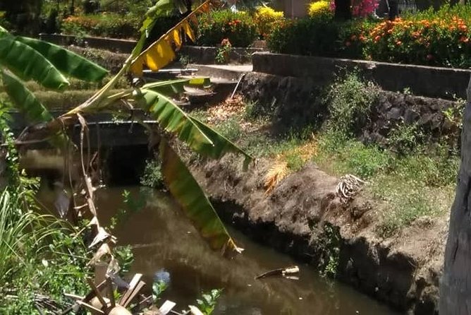 Private Day Trip To Visit MY LAI MASSACRE from Hoi an or Da Nang City - The guide is the difference maker, especially Mr. Ken