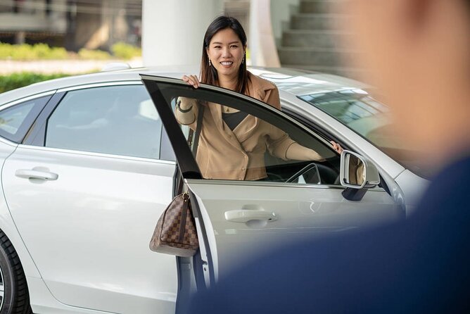 Private Departure Transfer: From Hotel in Hoian to Danang International Airport - Hoi An to Da Nang Airport in about 30 minutes
