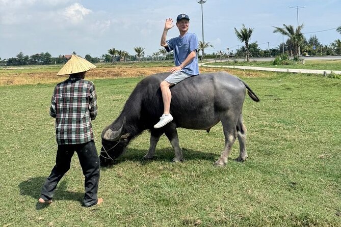 Private Half-Day Hoi An Tour for Families, Couples & Small Groups - Who This Hoi An Countryside and Old Town Tour Fits Best